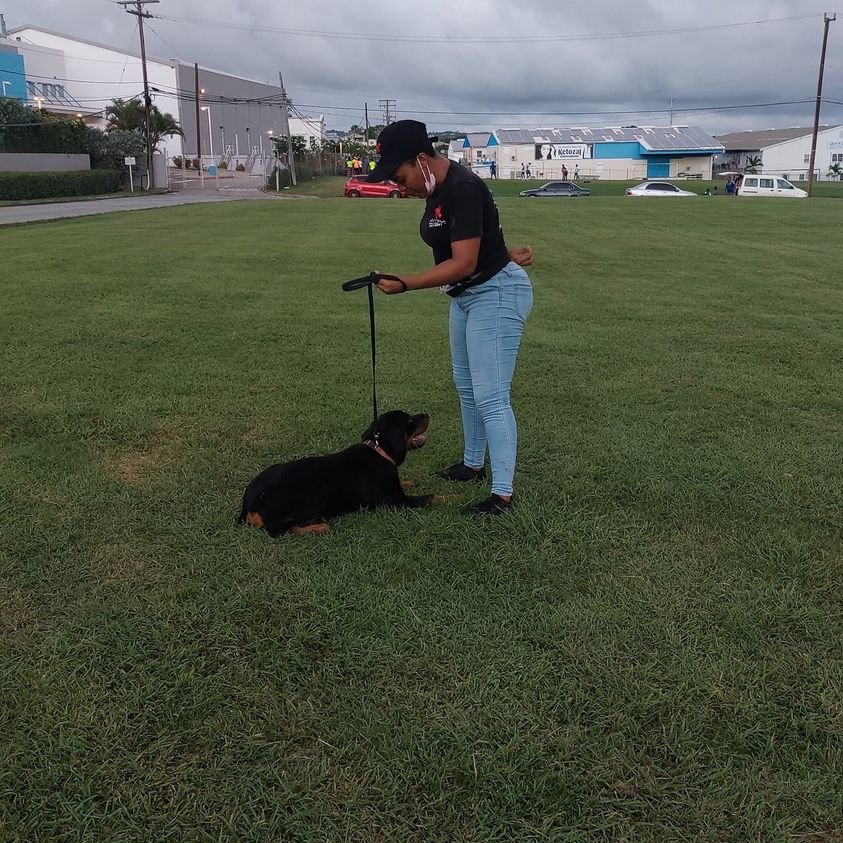 dog trainer in barbados