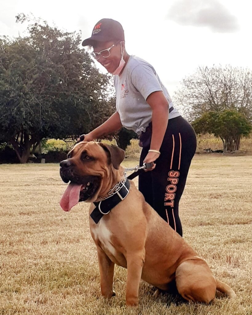 dog trainer in barbados